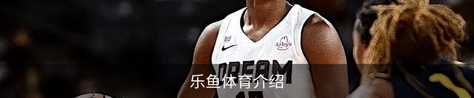 乐鱼体育介绍